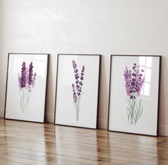 three framed pictures with purple flowers in them on a wooden floor next to a window