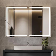 a bathroom with a sink, mirror and plant on the counter top in front of it