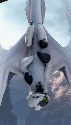 a large white bird flying through the air with its wings spread out and eyes open