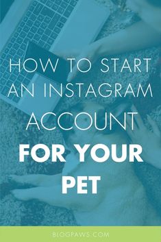 a dog laying on the ground next to a laptop with text overlay how to start an instagram account for your pet