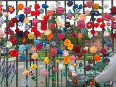 there are many colorful flowers on display behind a fence with people looking at them from the side