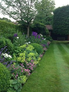 a lush green lawn with purple and white flowers