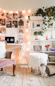 a living room filled with furniture and lots of plants on top of it's shelves