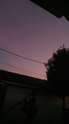 the silhouette of a tree against a purple sky