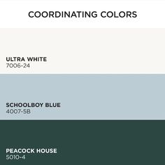 the color scheme for coordinating colors