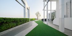 an empty walkway between two buildings with green grass on either side and white pillars in the background