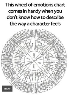 the wheel of emotions chart is shown in black and white, with words written on it