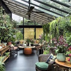 a room filled with lots of plants next to a wooden table and chairs in front of a glass roof