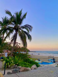 Palm tree on the beach in Mexico during a cotton candy pink sunset Sayulita Aesthetic, Mexico Beach Aesthetic, Mexico Life, Hotel Sunset, Beach In Mexico, Sunset Palm Trees, Mexican Beach, Mexico Beaches, Mexican Beaches