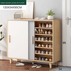 a shoe cabinet with two doors and shoes on the bottom shelf in front of it