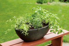 a potted plant sitting on top of a wooden bench in front of a grassy field