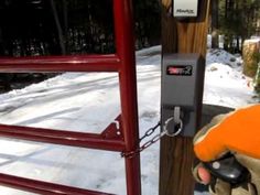 a hand holding a glove near a red gate and snow covered ground with trees in the background