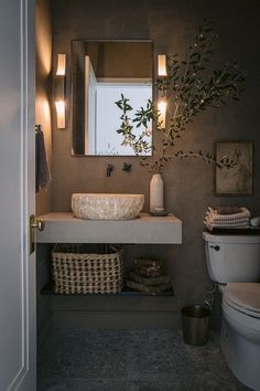 a white toilet sitting next to a bathroom sink under a mirror above a wooden shelf