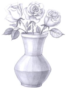 a drawing of three roses in a vase