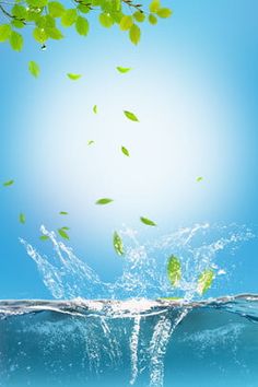 water splashing on the surface with green leaves floating in it and blue sky above