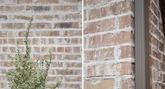 a potted plant sitting in front of a brick wall next to an open window