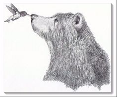 a drawing of a bear with a bird on its nose