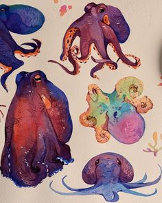 an octopus painting with watercolors on it's back and other things in the background