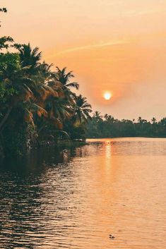 the sun is setting over the water and palm trees