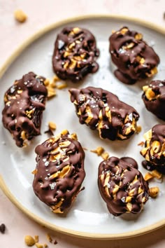 chocolate covered cookies on a plate with nuts