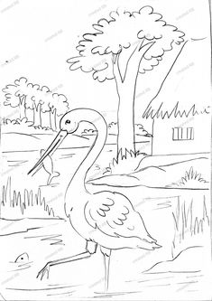 a black and white drawing of a flamingo standing in the grass next to a tree