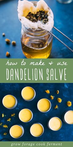 How to Make Dandelion Salve: Recipe & Benefits - Learn how to make this dandelion salve recipe using foraged dandelions! This homemade herbal salve has many benefits and uses like being great for the skin. Start by infusing coconut oil, olive oil, and sweet almond oil with dandelion flowers and adding beeswax to make this healing DIY herbal salve. It makes one wonderful herbal skincare product! Homemade Medicinal Remedies, Dried Dandelion Recipes, All Natural Allergy Remedies, Diy Crafts With Nature, Diy Dandelion Salve, Dandelion Herbal Uses, Home Made Salve, Dog Safe Simmer Pot, Home Made Garden Ideas