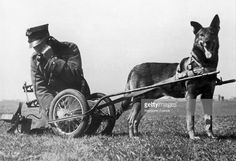 an old black and white photo with a dog pulling a man in a horse drawn carriage