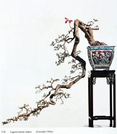 a bonsai tree in a blue and white vase next to a tall metal stand