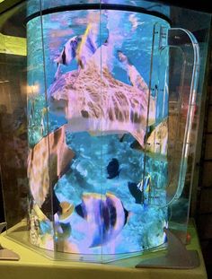 a glass display case with an image of a sea turtle in the water and fish swimming around it