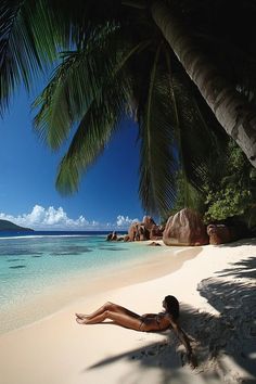 a woman laying on top of a sandy beach next to the ocean under a palm tree