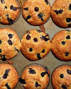 freshly baked blueberry muffins in a baking pan