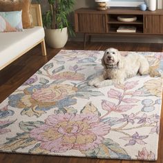 a white dog laying on top of a rug in a living room