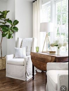 a living room filled with furniture and a potted plant in front of a window