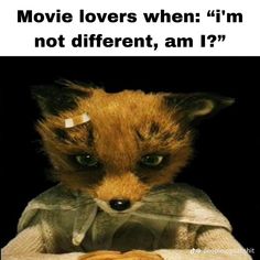 (credit to @teaganrae15 on tumblr) #fantasticmrfox #film #wesanderson #wesandersonmovies #movies #fantasticmrfoxaesthetic Fantastic Mr Fox Aesthetic Ash, Kylie Fantastic Mr Fox Pfp, Mr Fantastic Fox Wallpaper, Movie Lovers When, Fantastic Mr Fox Pfp, Fantastic Mr Fox Wallpaper, Fox Meme, Fantastic Mr Fox Aesthetic, Mr Fox Movie