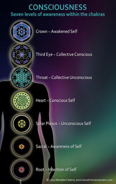 Film Venom, Chakra Health, Sacred Science, Sacred Geometry Symbols, Chakra Art, Energy Healing Spirituality, Chakra System, Seven Chakras