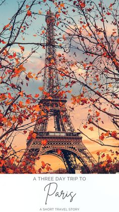 the eiffel tower is surrounded by trees with orange leaves on it's branches