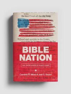 a book with the title bible nation written in red, white and blue on it