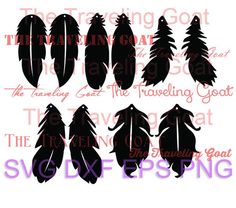 the silhouettes of different feathers and trees are shown in black on a white background