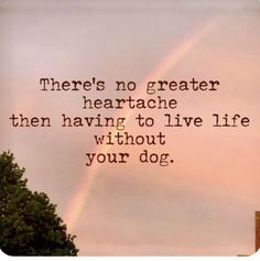 Quotes On Losing A Dog, Me And My Dog Quotes Unconditional Love, Dog Memory Quotes, Missing My Dog In Heaven, Miss My Dog Quotes, Missing My Dog, A Girl And Her Dog Quotes