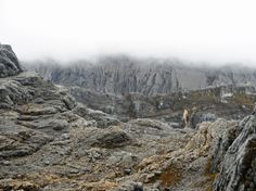 a person standing on top of a rocky mountain with fog in the sky behind them