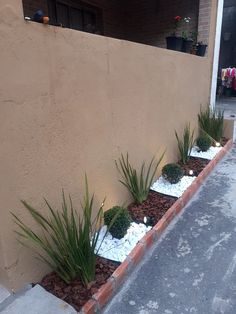 some plants that are growing out of the ground in front of a building with snow on them