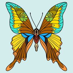 a colorful butterfly on a blue background with an orange and yellow wing, it's wings