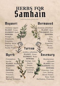 Samhain Grimoire Page, Samhain Herbs, Book Of Shadows Inspiration, Grimoire Pages, Magickal Herbs, Witch Herbs, Love Psychic, Grimoire Book