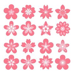 pink flowers are arranged in rows on a white background