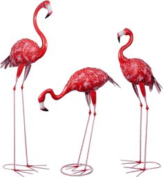 three pink flamingos standing next to each other