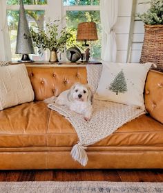 a dog laying on top of a brown leather couch