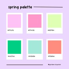 four squares with the words spring palette in different colors and font, all on top of each