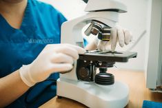 Veterinarian looks through a microscope in clinic by NomadSoul1. Veterinarian looks through a microscope at the samples of animal tests in veterinary clinic. Working with analyzes in...#samples, #clinic, #Veterinarian, #microscope Microscope Slides, Animal Nutrition, Veterinary Clinic, Immunity Booster, Herbal Extracts, Slide On, The Stage, Veterinarian, Stock Images Free