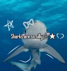 a shark swimming in the ocean with words sharks are so silly