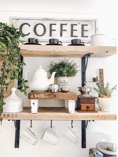 a shelf with coffee mugs and plants on it